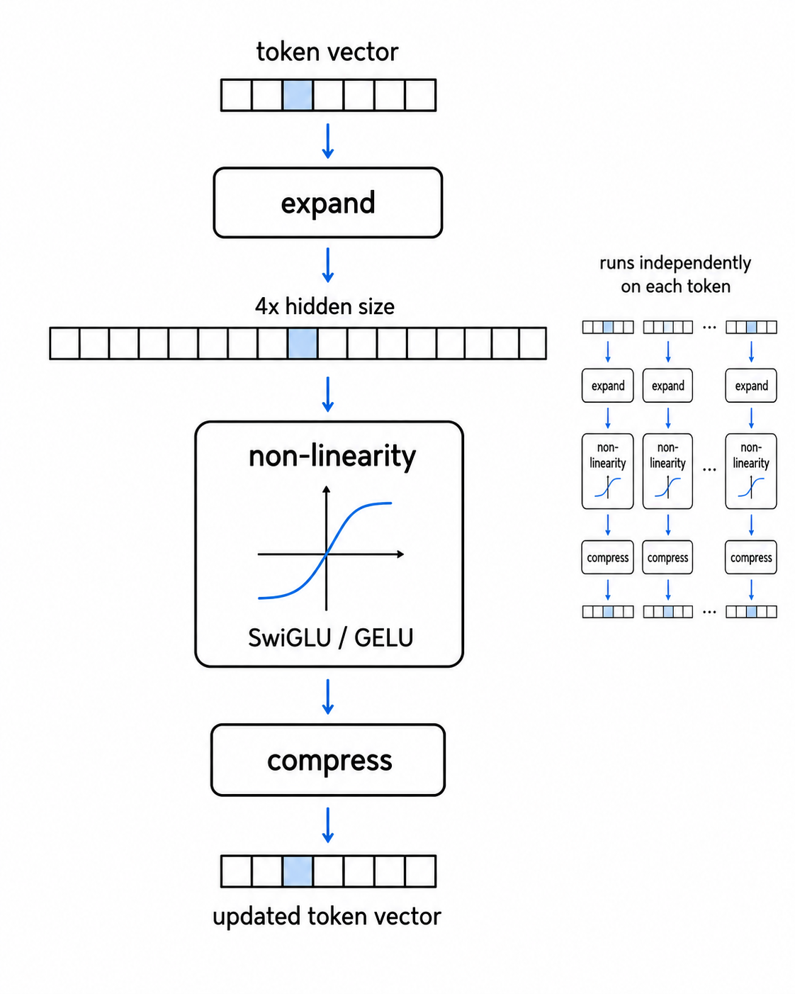 Feed-forward network expands, transforms, and compresses each token vector