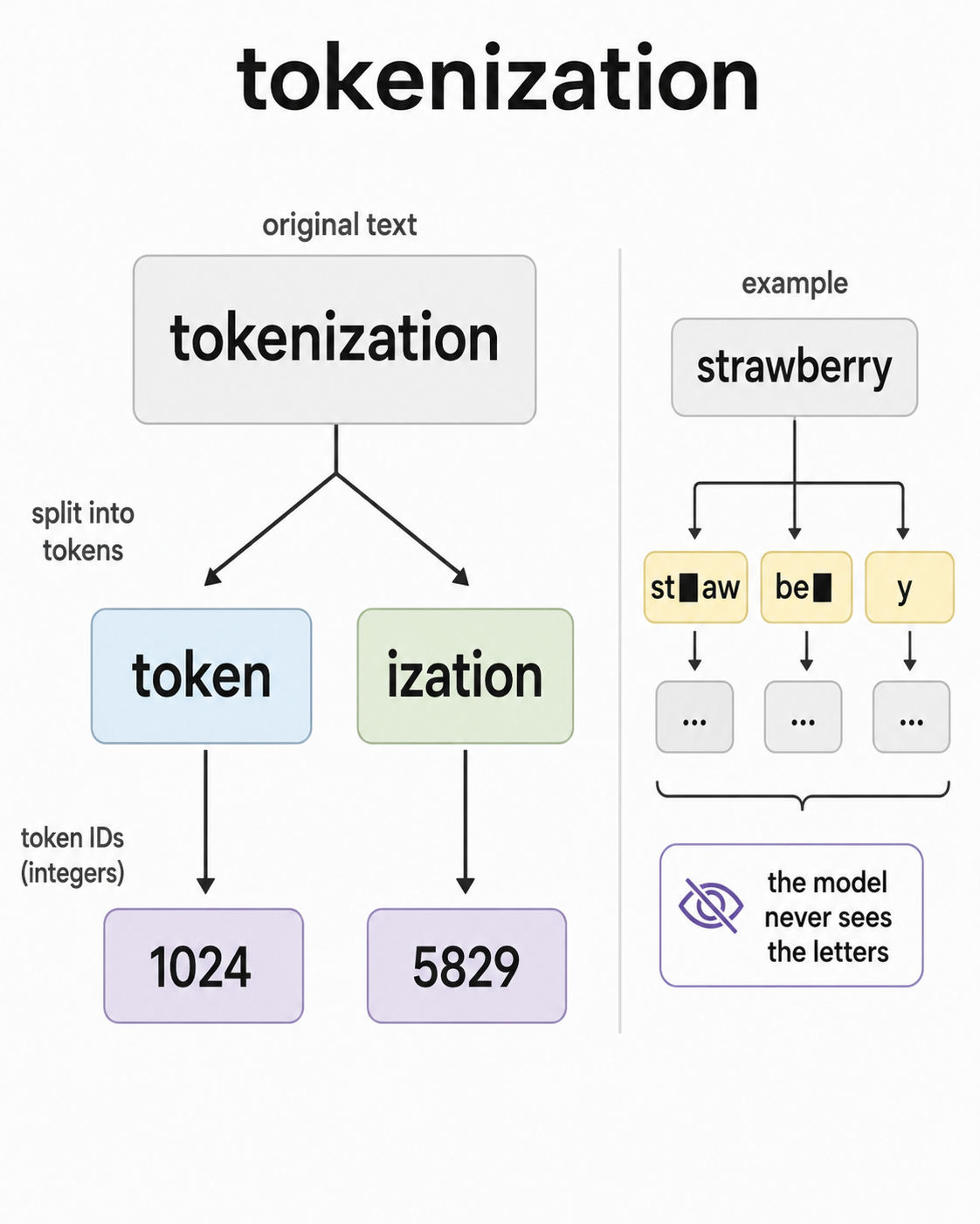 Tokenization turns text into token IDs